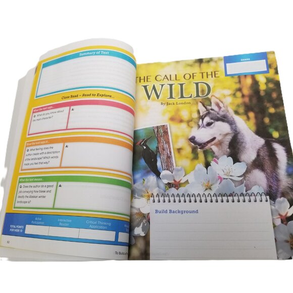 SRA FLEX Literacy Interactive Reader Volume C McGraw Hill Student Workbook - Picture 5 of 9